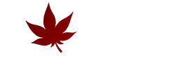 mikraproduction